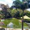 Alquilo casa y lote en jamundi para uso comercial 2