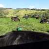 Finca de 13 cuadras apta para actividades agropecuarias 1