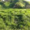 Finca de 13 cuadras apta para actividades agropecuarias 3