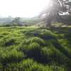Finca de 13 cuadras apta para actividades agropecuarias 4
