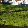 Finca para descanso y/o proyectos agropecuarios 2