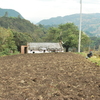 4 FANEGADAS CON CASA 1
