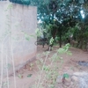 terreno con casa 3