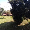 Vendo casa con 3 terrenos en puerto libertad, misiones 3