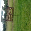 Terrenos titulados 2