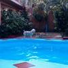 venta de dos casas 3