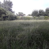 Hermoso lote a una cuadra de ruta 9 1