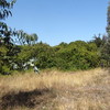 Pichilemu urbanizado 2