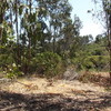Pichilemu urbanizado 4