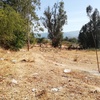 Parcela 6600 m2 urbanizada 2