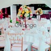 Manejamos varios estilos de sillas para tus eventos