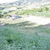 venta de terreno entre Marinilla y el Peñol Antioquia 3