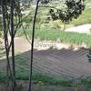 venta de terreno entre Marinilla y el Peñol Antioquia 4