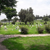 Jardín Monte de los Olivos tríplex ataúdes Jardines del Recuerdo