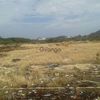 Remato terreno 23millones 3