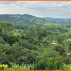 Casa finca campestre cerca de Manizales 4