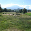 Terreno 200.71 m2 servicios Atlixco Xalpatlaco Puebla