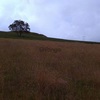 Finca en Toca (Boyacá) para cultivo 4