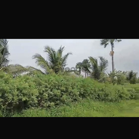 Champs de 1 hectare à vendre à Ndianda Sénégal
