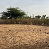 Terrain de 300 mètres carrés à vendre à Sinthiou Sn 2