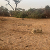 Terrain de 600 mètres carrés à vendre à Malicounda Sénégal 2