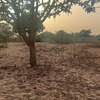 Terrain de 600 mètres carrés à vendre à Malicounda Sénégal 4