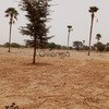 Terrain de 10400 mètres carrés à vendre à Simal Sénégal 1