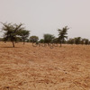 Terrain de 10400 mètres carrés à vendre à Simal Sénégal 2