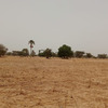 Terrain de 4600 mètres carrés à vendre à Simal Sénégal 2