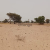 Terrain de 4600 mètres carrés à vendre à Simal Sénégal 3