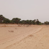 Terrain de 4600 mètres carrés à vendre à Simal Sénégal 4