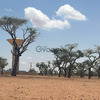 Terrains de 300 m2 à vendre à Malicounda Sénégal