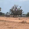 Terrains de 300 m2 à vendre à Malicounda Sénégal 3
