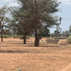 Terrains de 300 m2 à vendre à Malicounda Sénégal 4