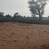 Terrains de 225 mètres carrés à vendre à Malicounda Sénégal 3
