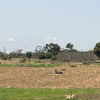 Terrain de 300 mètres carrés à vendre à Malicounda Sn 3