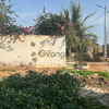 Terrain de 225m2 à Keur youngar Sénégal 4