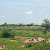 Terrains de 225m2 à vendre à Kiniabour Sénégal 1