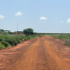Terrains de 225m2 à vendre à Kiniabour Sénégal 3