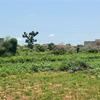 Terrain de 450 mètres carrés à vendre à Kiniabour sénégal 2