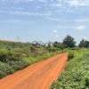 Terrain de 450 mètres carrés à vendre à Kiniabour sénégal 3
