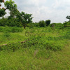 Terrain de 450 mètres carrés à vendre à Sindia Sn