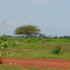 Terrain de 600 mètres carrés à vendre à Saly Sénégal 4