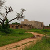 Terrains de 300 mètres carrés à vendre à Saly Sn 4