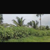 Champs de 1 hectare à vendre à Ndianda Sénégal 1