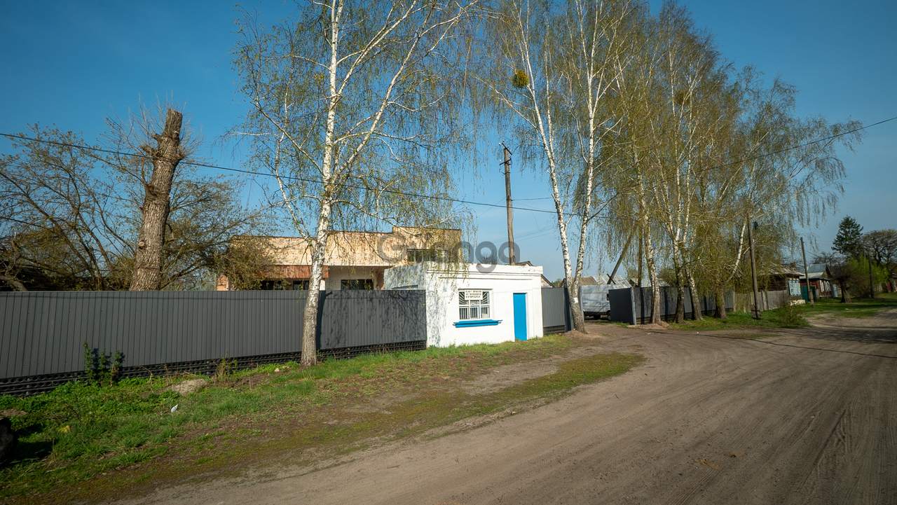 Добрянка черниговская область. Добрянка черниговская область. Добрянка черниговской. Добрянка черниговской. Батурин черниговская область.