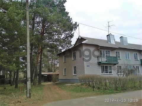 1558172_prodayet-sya-kvartira-3-kom-56-4-m-ul-sosnovaya-3.jpeg