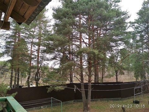 1558173_prodayet-sya-kvartira-3-kom-56-4-m-ul-sosnovaya-3.jpeg