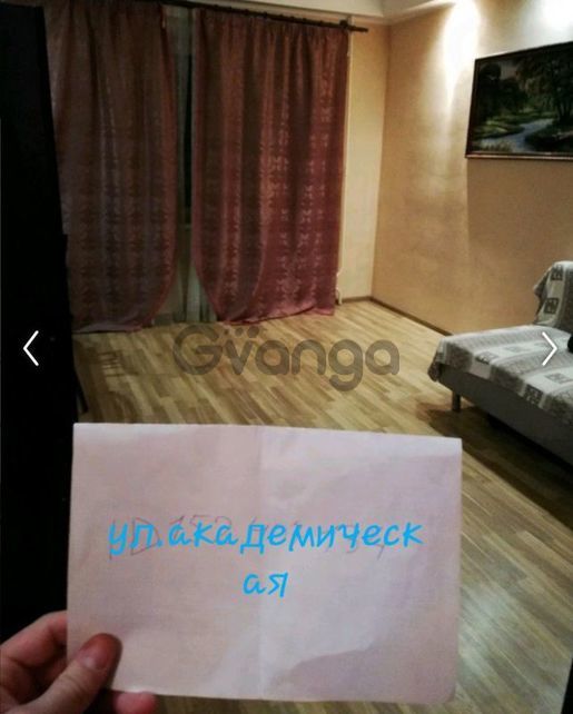 1669119_sdayet-sya-v-arendu-kvartira-1-kom-50-m-akademicheskaya-ploshchad-3.jpg