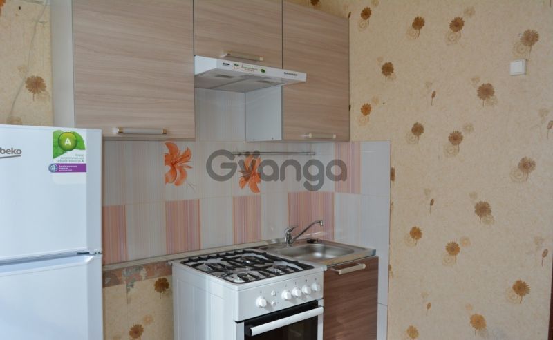 1725725_sdayet-sya-v-arendu-kvartira-2-kom-46-m-sovet-skaya-4.jpg